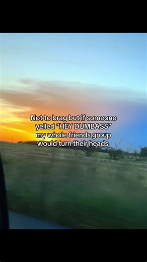 Humorous Friend Group Dynamics Explained