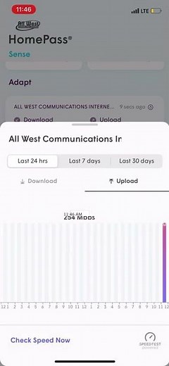How do I view my network speeds