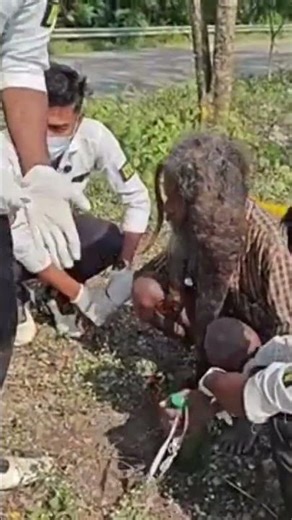 dadaji ko pakadkar karne lage jabardasti