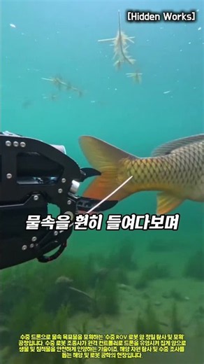 Marine Engineering: Underwater Precision Exploration and Capture Process Using ROVs and Manipulat...