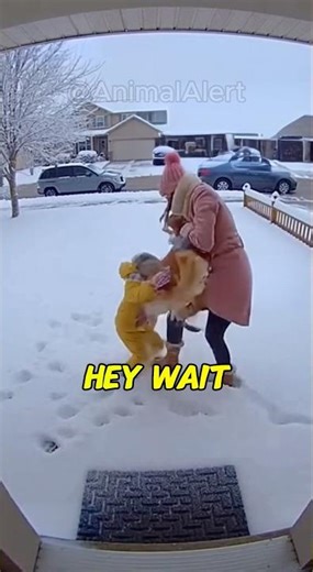 Karen stole my dog…😱🐶😭 #animalrescue #goldenretriever #animallovers #husky #huskypuppy #karen