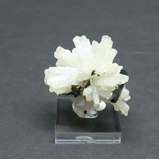 Rod Tyson on Instagram: "Natrolite with aegirine from the Demix Quarry, Mt. St. Hilaire, Quebec. A lovely puff-ball of natrolite crystals with black aegirine collected by Frank Melanson a long time ago! 3.3 x 3.1 x 2.2 cm. $50CAD. Roughly $37USD Dec. 27/25. ON HOLD. #natrolite#mt.st.hilaire#quebec#famouscanadianminerallocalities#rareminerals#mineralcollectors#rockhounds#geology#mineralogy#monteregianhills#demixquarry#poudrettequarry"