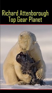 Richard Attenborough on Top Gear animal planet