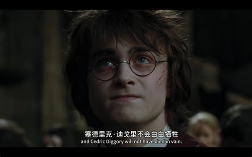 《哈利·波特与火焰杯》经典片段鉴赏-“塞德里克·迪戈里不会白白牺牲”