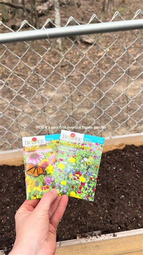 Creating Your First Cut Flower Garden This Spring