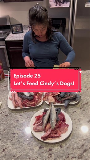 Episode 25: Let’s Feed Cindy’s Dogs! ❤️