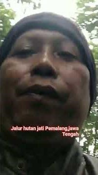 Pemalang teak forest path, Central Java #shots