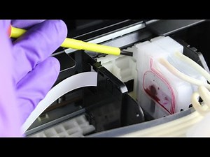 How to clean Epson Printers