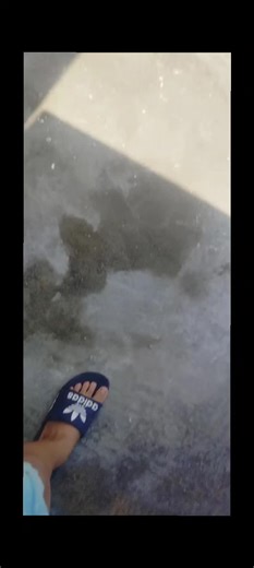 ENCONTRE EL ONE PIECE #memes #xd para ti# alienmensito##