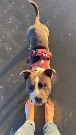 September sunsets. | Kari Byron