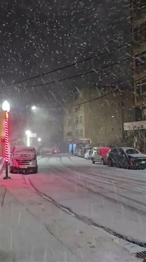 FREHA 24 on Instagram: "Iferhounene"