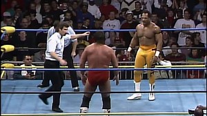 Starrcade 1992 (December 28, 1992)