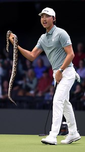 115K views · 1.4K reactions | No kangaroo fights  but Chef Min Woo Lee is enjoying some home cookin' this week as he's T6 at the Australian Open  ps. sounds like we need to get @roger_steele to Australia to see for himself | Callaway Golf | Facebook