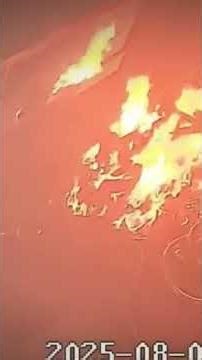 Moments Before Death Caught on CCTV #shorts