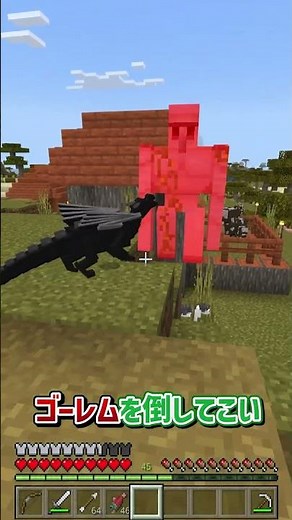もしもエンダードラゴンが仲間になったら...【マインクラフト】