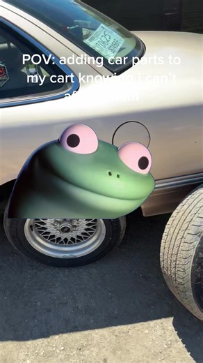 Creative Lizard Meme Compilation Using CapCut