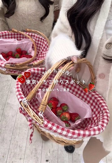 東京のいちご狩り体験: 90分1,700円の楽しみ