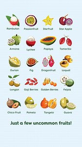 751 reactions · 95 shares | Juicy Juice Fruit Punch seems to have it all, but there’s even more fun fruit out there to love. Do you recognize 100% of these fruits? | Juicy Juice | Facebook