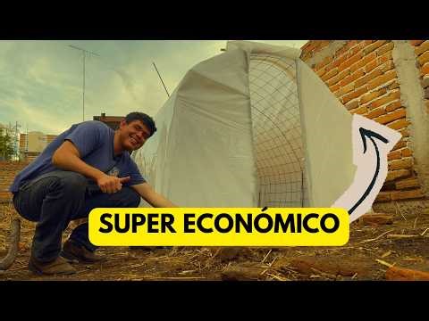 Cómo construir un invernadero CASERO con materiales reciclados (barato y resistente)