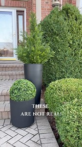 22 reactions · 18 comments | Unreal! Comment ‘greenery’ for links. These are so amazingly realistic for an amazing price point. Don’t spend over $100 on faux topiary when you can grab these. Outdoor living Spring refresh Front porch design Front porch ideas Patio design Inspo Outdoor decor Greenery | The Collected Dwelling | Facebook