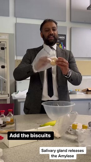 Understanding Digestion Process Explained | Biology Teacher