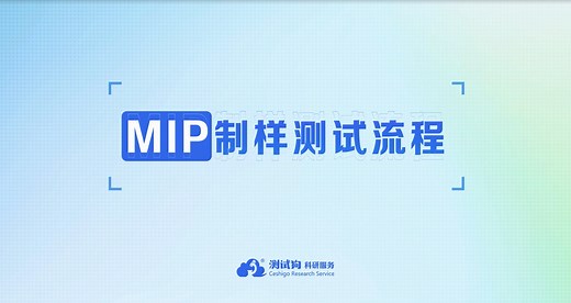 MIP制样测试流程
