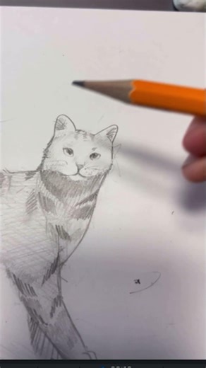 How do you draw a cat! Like this. #cat #drawing #wcue #hady #subscribe #tiki