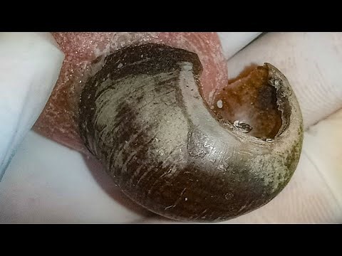 Simple Grooming Tips for Men’s Fingernails