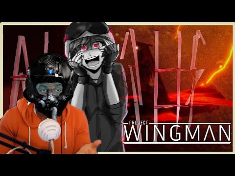 Project Wingman Review By max0r | paint the world ORANGE