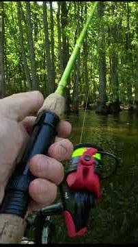 Slip Bobber Setup That Catches Crappie #fishing #crappie #shorts