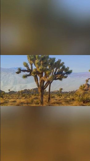 15 BEST Places to Visit on the West Coast USA (2026 Travel Guide) 4K