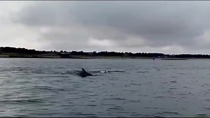 6.8K views · 255 reactions | Friends, To talk with aliens learn to...