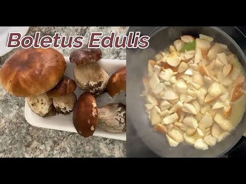 How to clean Boletus, to preserve them, quickly and easily!!