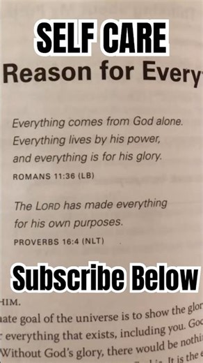 ✨ Daily Self Care in Recovery | Workout, Reading & Protein Habits for Healing