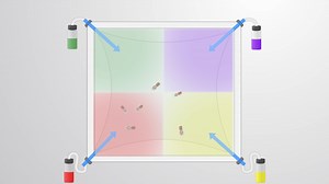 Four-Way Olfactometer Assay: A Method to Assess Odorant-Cued Responses in <em>Drosophila</em>