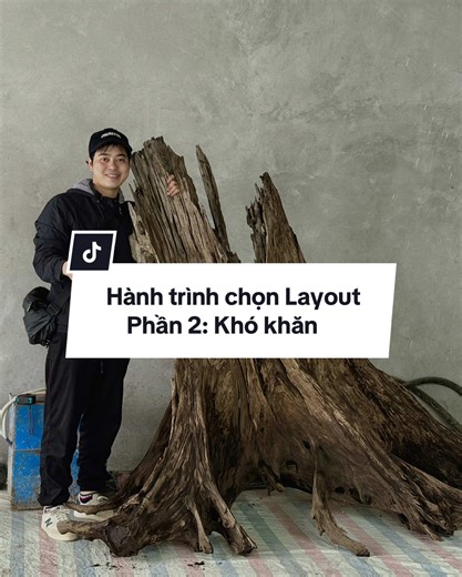 Trả lời @1996 Aquarium Hành trình săn tìm khúc lũa nhất trụ khổng lồ cho chiếc bể thuỷ sinh siêu khủng - Phần 2: Khó khăn