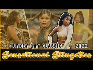 Sensational Stingettes | Turkey Day Classic 2022 | REVIEW 💛🖤🐝