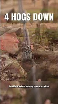 I kill FOUR HOGS with a air rifle!
