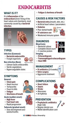 Endocarditis #Endocarditis #HeartHealth #VikaasShandily #Cardiology #Medical #shorts