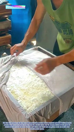 Curds to Blocks: How Traditional Wooden Presses Craft Perfect Tofu