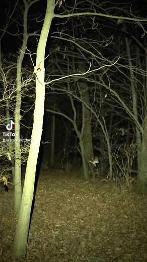 138K views · 4.2K reactions | SOUND ON. You gotta hear this one....