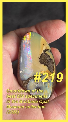 #219. The countdown continues... Small boulder opal Specimen with Red fire. The 250 best items in the Brisbane Opal Museum collection are ranked from least to most valuable. (2026). In each video, Geoff will explain the item and then give a value. Each video will be listed every day at 7pm. Follow or like to watch the countdown, and let us know what you think of the valuation. At the following link, Geoff explains what is required to value an opal collection here... https://australianopaljewelle
