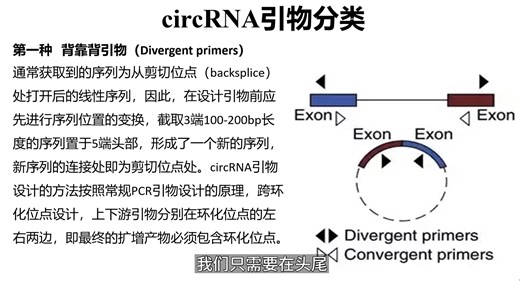 环化RNA CircRNA 引物设计基础讲解