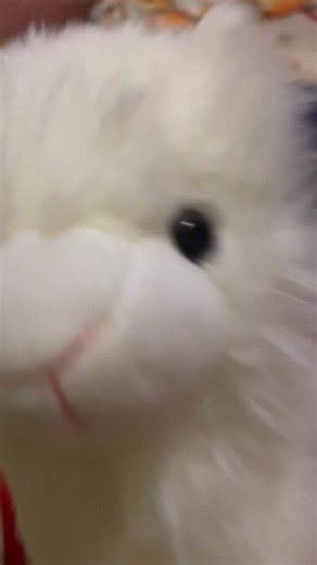 spin my head right round #fyp #alpacatoy #Alpaca #cat