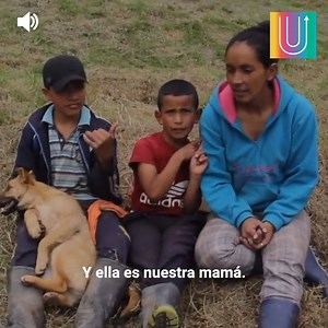 1.1M views · 10K reactions | “Lo que youtubers profesionales...