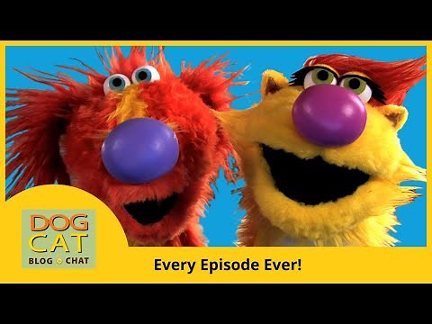 Dog Cat Blog Chat 🐕🐈 Every Episode Ever 💻📹 Early Educational Puppets