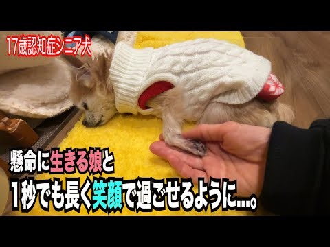 【懸命に生きる娘と１秒でも長く笑顔で過ごせるように...。】