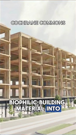 Why YOU Should be Building with Mass Timber 🪵