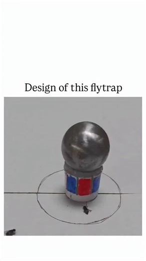 wolf.io on Instagram: "The nistagram reel depicts a compact electric flytrap with a metallic sphere and electrode base that unleashes targeted high-voltage arcs to electrocute flies instantly, mimicking the snap of a Venus flytrap in a bio-inspired gadget. , an account specialising in captivating feats and inventions, the clip has attracted over 10,000 views since October 2025, highlighting public fascination with efficient pest control innovations. Replies reveal divided opinions, with one user