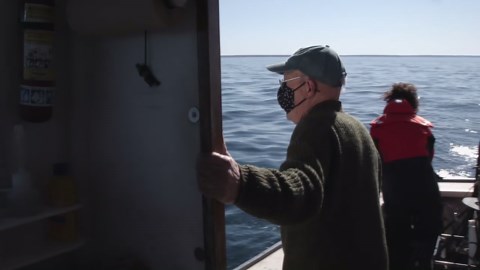 Saving the Right Whale